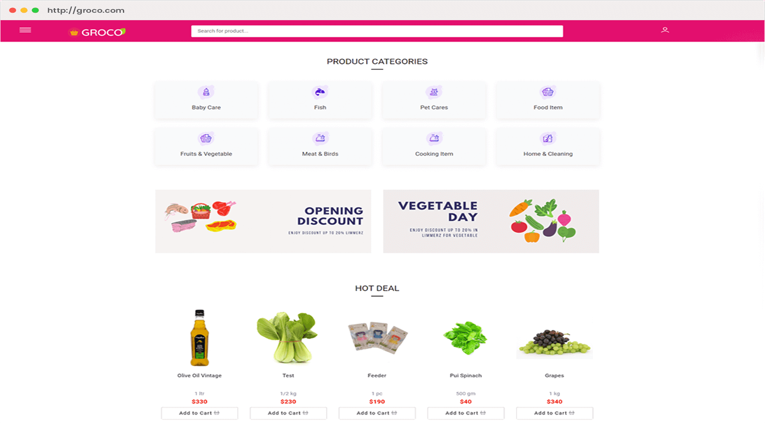 portfolio